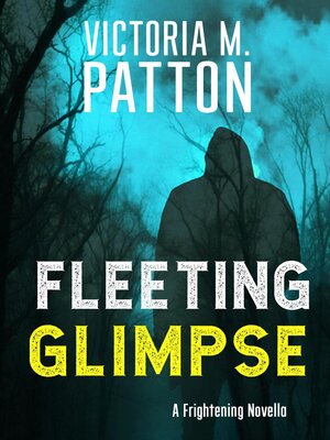 cover image of Fleeting Glimpse